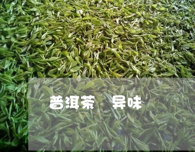 普洱茶 异味/2023042950301